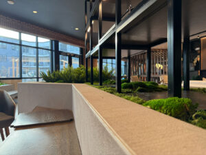 Landscape design indoors with layered plant selections