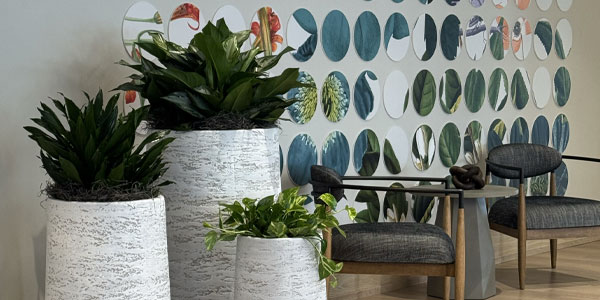 service-interior-2 Professionally designed indoor plant installation