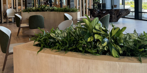 service-plantbeds-1